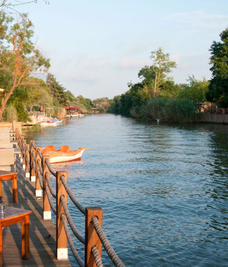 رحلة شيلا واغوا