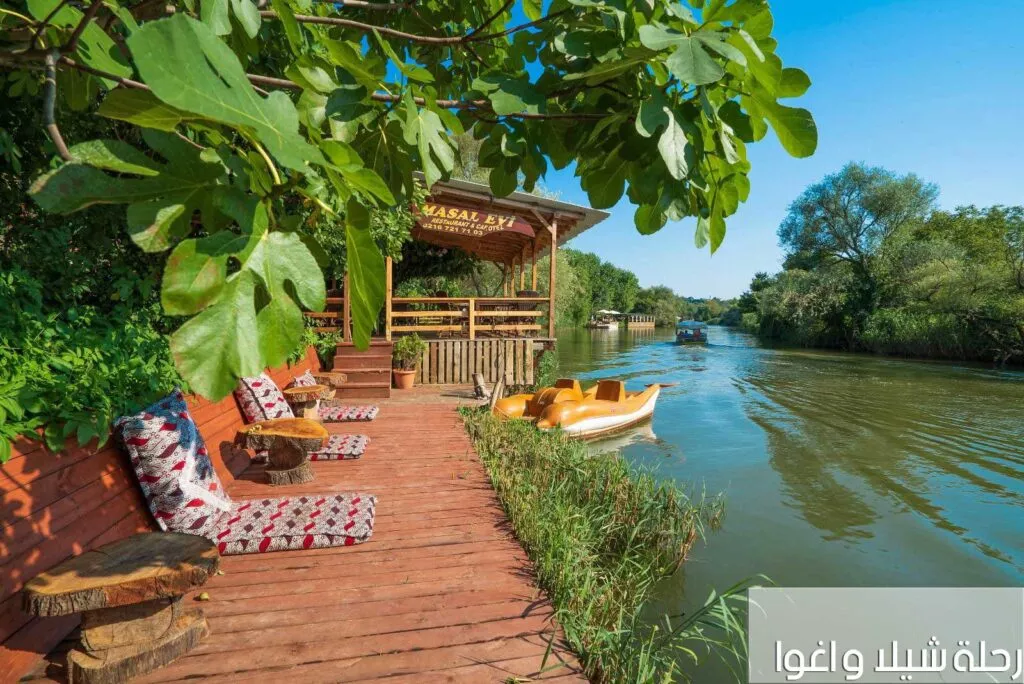 رحلة شيلا واغوا