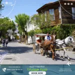 قروب رحلة جزيرة الاميرات