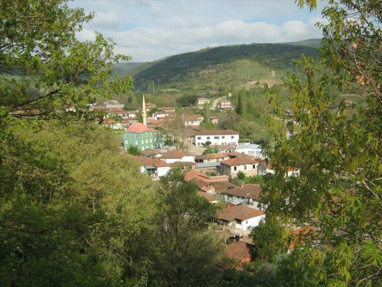 قروب رحلة يلوا