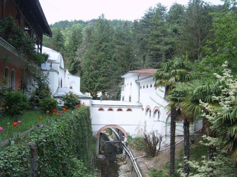 قروب رحلة يلوا