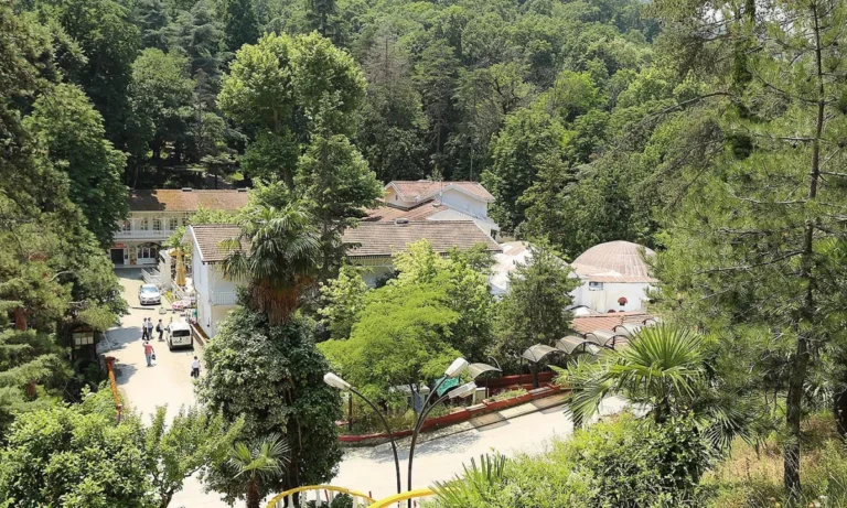 قروب رحلة يلوا